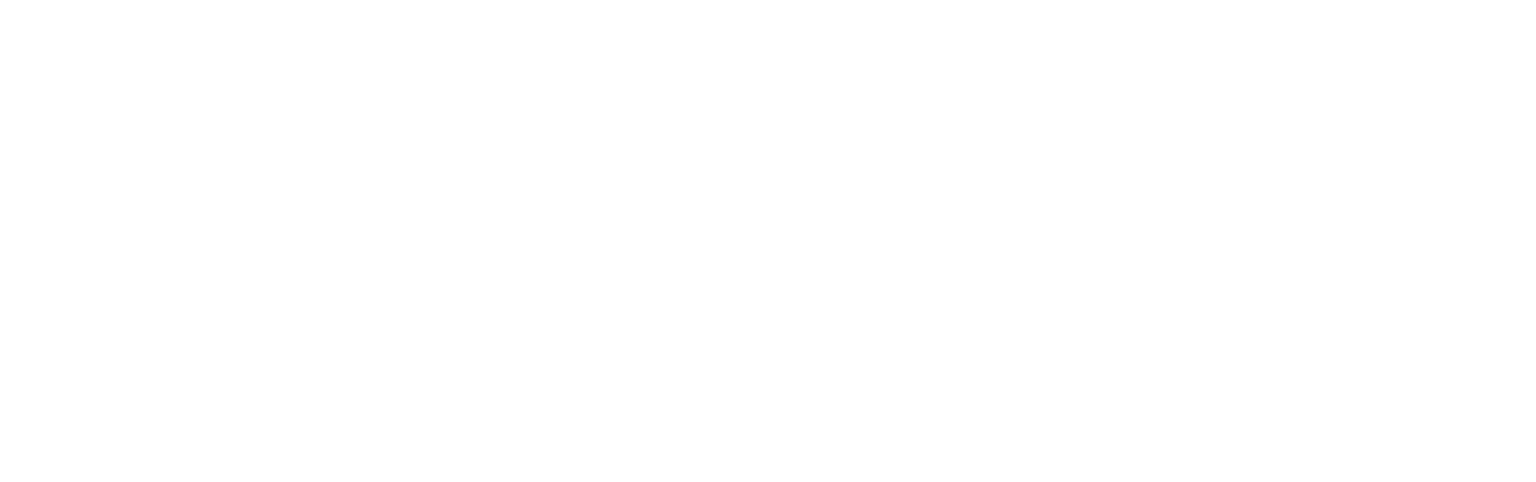 qlik logo