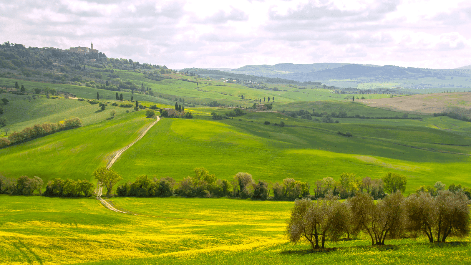 agricultura