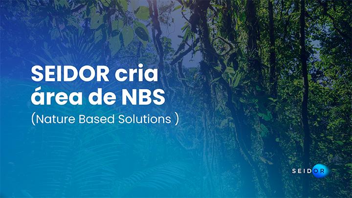 SEIDOR cria área de NBS