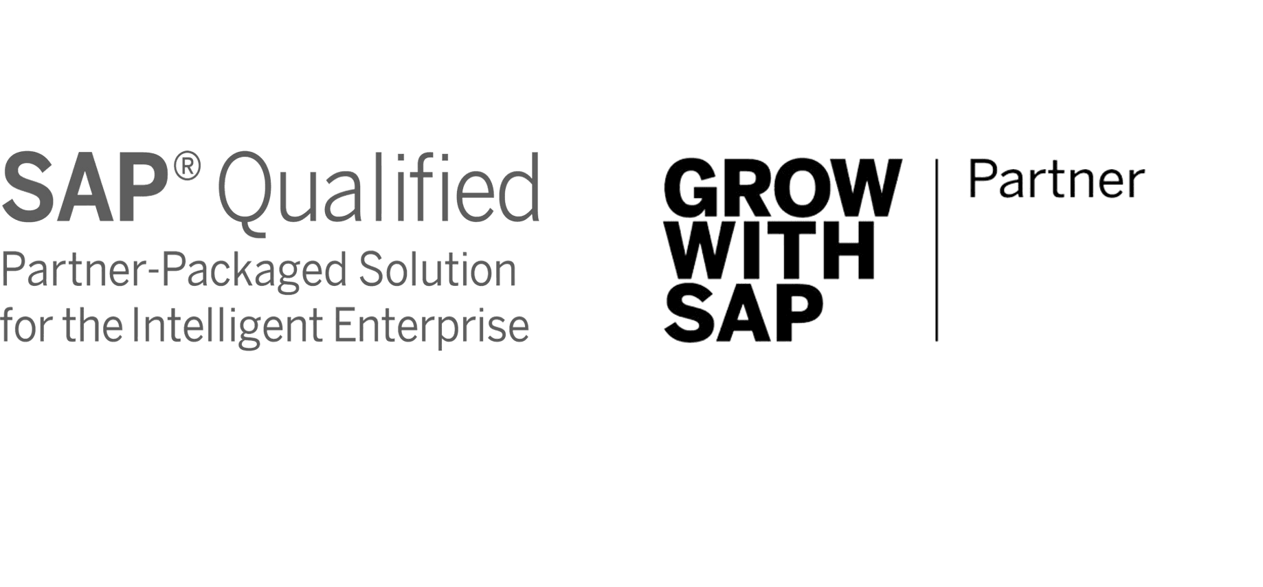 partners sap