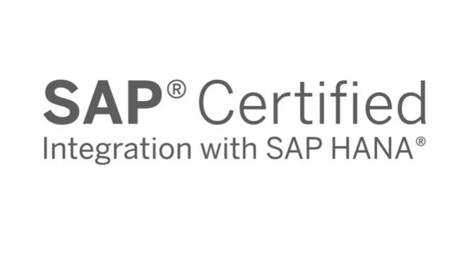 software fonderie certificato SAP